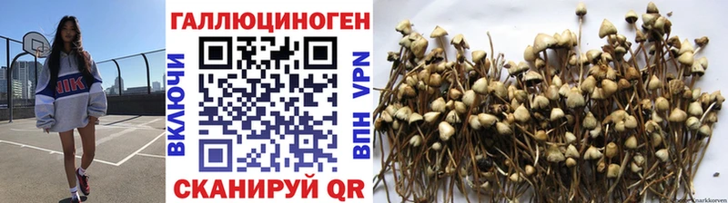 где найти наркотики  Нерехта  Галлюциногенные грибы MAGIC MUSHROOMS 