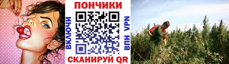 Конопля планчик  Нерехта 
